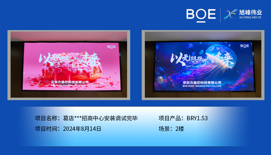 襄陽葛店***招商中心安裝調試完畢