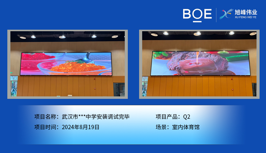 襄陽武漢市***中學(xué)安裝調(diào)試完畢