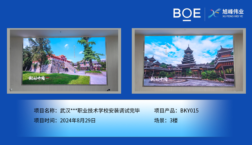 荊州武漢***職業(yè)技術(shù)學(xué)校安裝調(diào)試完畢