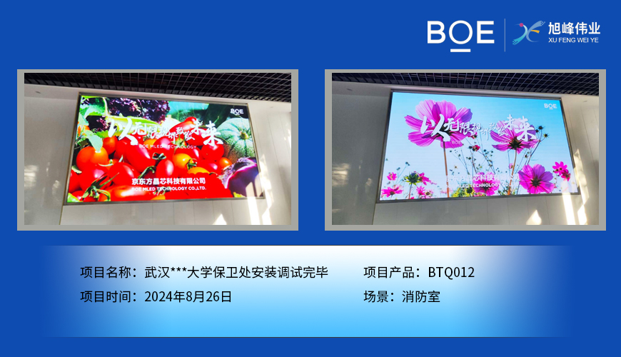 仙桃武漢***大學保衛(wèi)處安裝調試完畢